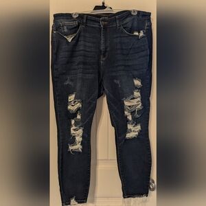 Judy Blue Jeans - Plus Size 22W